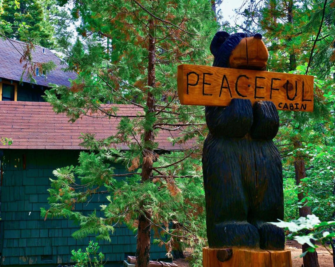 Peaceful Cabin Idyllwild Eksteriør billede